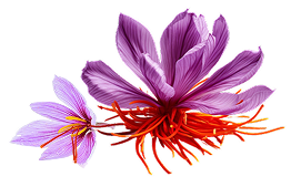 flower-image
